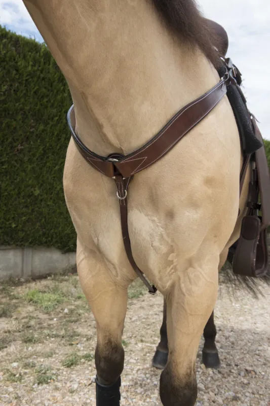 Collier de chasse western Randol&rsquo;s surpiqu – Havane Top Vente