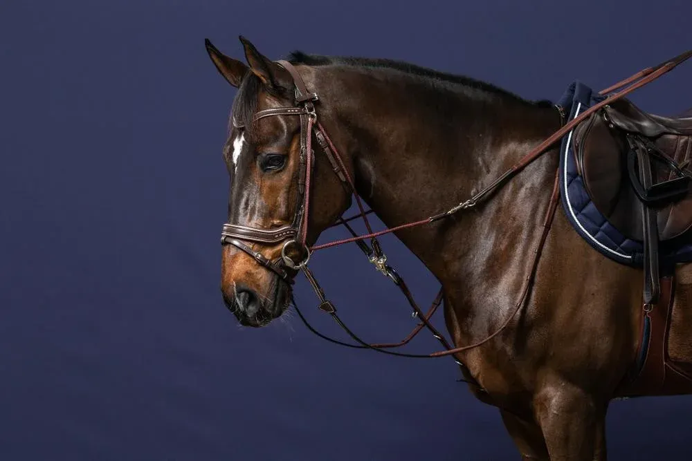 Achetez Aujourdhui Rnes Gogue Command Caoutchouc 1/2 Working By Dy&rsquo;on – Cheval – Brun