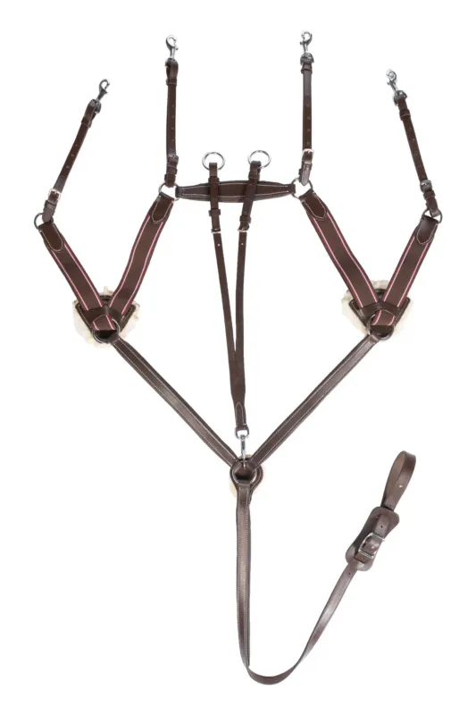 Pas Cher Collier de chasse cinq points doubl mouton HKM - Pur-sang - Marron