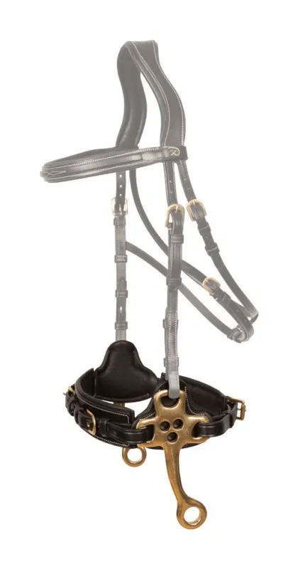Hackamore Dy'on - Poney - Noir Prix Promo