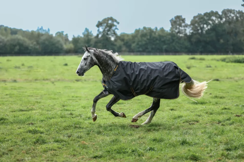 Couverture Irish Turnout Bucas 100g 1200D - 115 cm - Noir / or Prix Choc