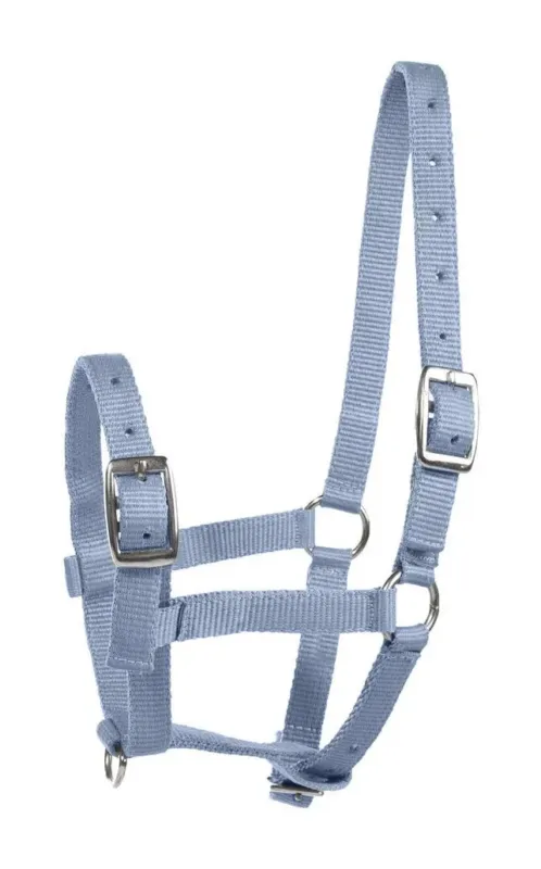 Licol Poulain Horze Spirit - Bleu clair Must-Have