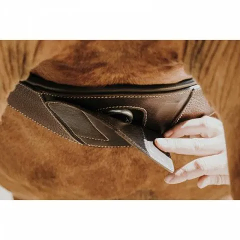 Authentique Sangle anatomique Magnet – NORTON – Marron – 115cm