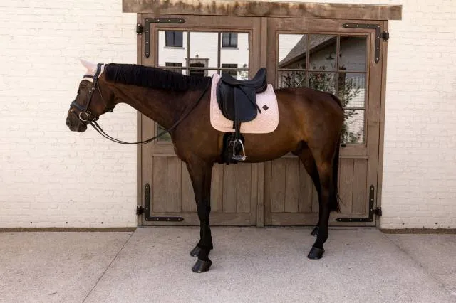 Tapis de selle Velvet Rose pale DRESSAGE - Kentucky - Rose clair - Dressage - Cheval Expdition Rapide