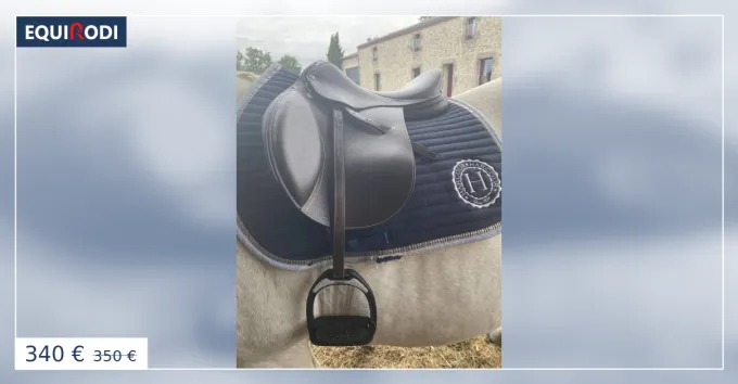 Selle T de T marron Meilleur Prix