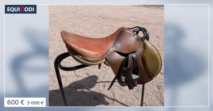 Selle d'quitation anglaise Petit Prix