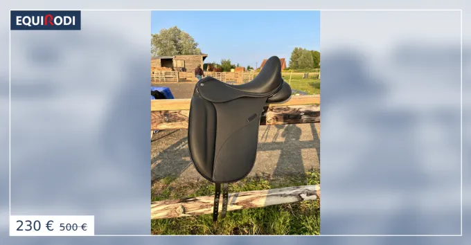 Expdi Aujourdhui Selle Norton pro