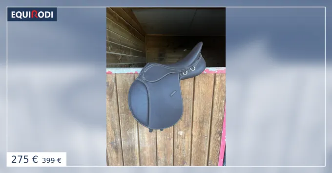 Selle Norton Affaire Saisir