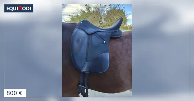 Selle Wintec dressage Isabell Werth Cair HART Haute Qualit