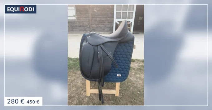 Selle dressage Norton Pro Dressage Livraison Express