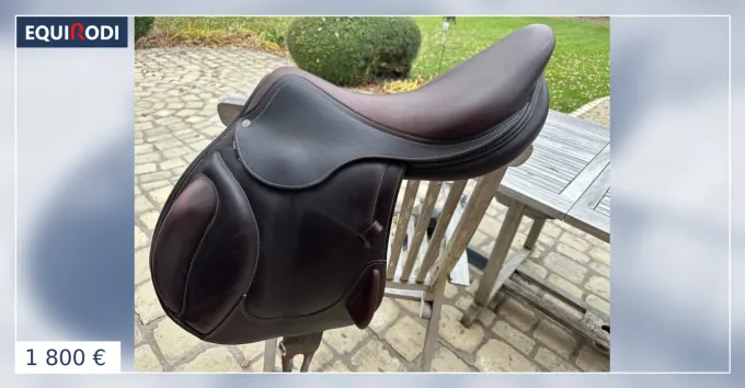 Usine Directe Selle Antars