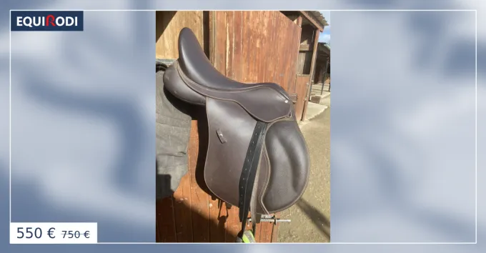 Selle wintec 17.5 Authentique