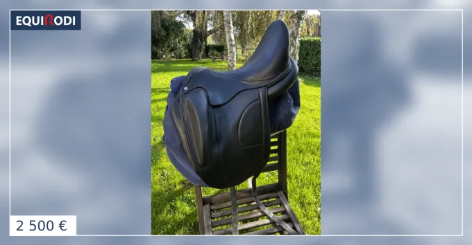 Selle de dressage Arion Rduction
