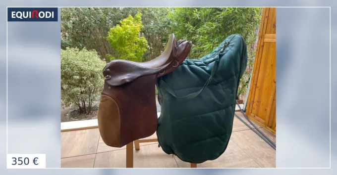 Selle randonne Baude Sellier 17 pouces Offre Exclusive