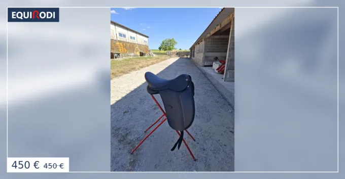 Selle de dressage STAR 17,5 Retour Gratuit