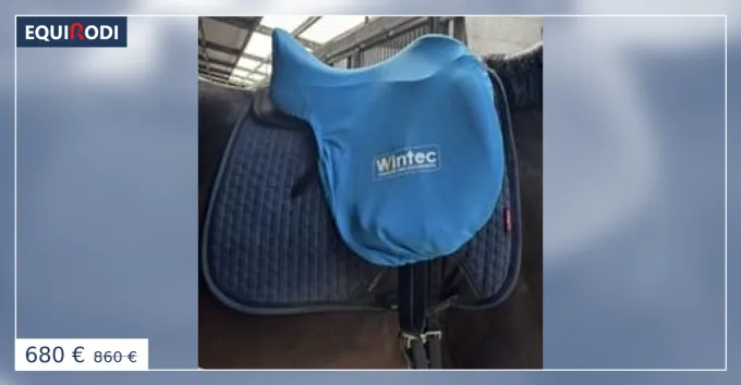 Retour Gratuit Toute nouvelle selle Wintec dressage