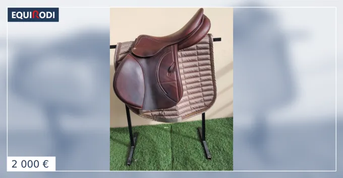 Selle Arion marron 18 pouces Certifi
