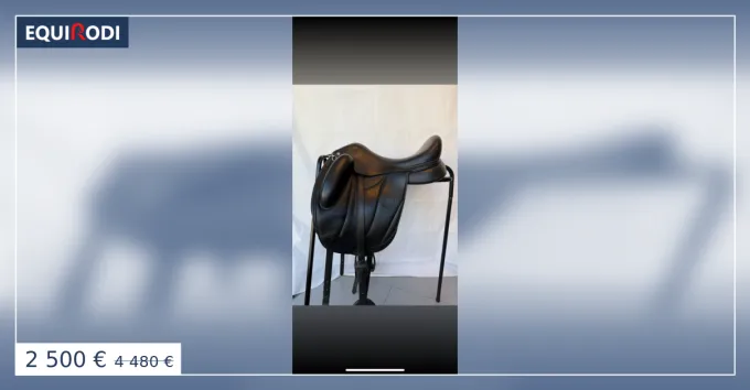 Selle forestier vendre Promotion Saisonnire