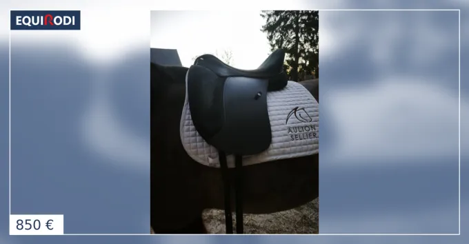 Selle de dressage Wintec Pro Hart amliore 2024 Meilleur Prix