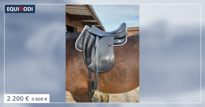 Dernier Modle Selle dressage monoquartier 17"5