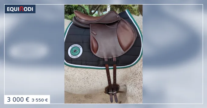 Offre Du Jour Selle Forestier