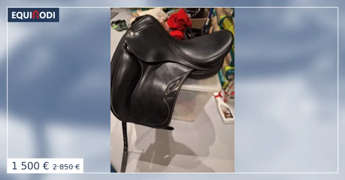 Selle quipe Emporio Expdition Rapide
