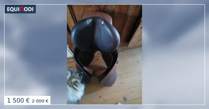 Populaire Vds selle cwd 17.5 pouce1500euros