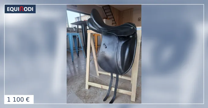 Affaire Saisir Selle dressage stubben genesis