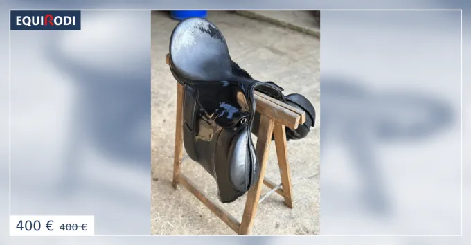 Selle de dressage Top Vente