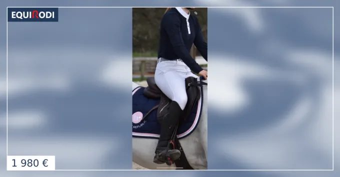 Jusqu puisement Des Stocks Selle Antares connexion