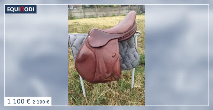 Selle Forestier Bockelo 18' Haute Qualit
