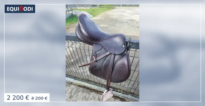 VENDRE : Selle quipe volution Spciale  17,5 pouc Affaire  Saisir