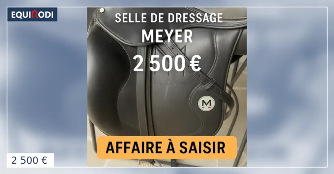 Satisfait Ou Rembours MEYER AFFAIRE A SAISIR