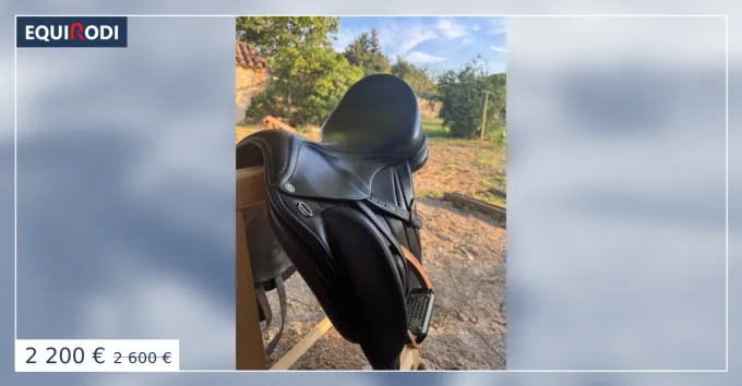 Selle de dressage Equipe Carbon Viktoria monoflap 17,5 Prix Rduit