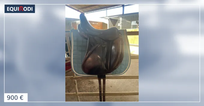 Selle de dressage Remise