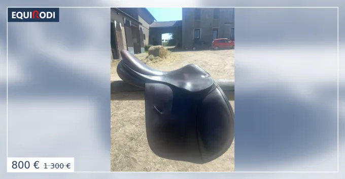Selle childeric Populaire