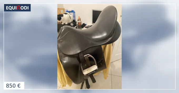 Marque SELLE DRESSAGE CARLOS PINTO
