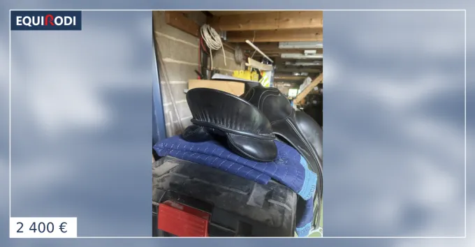 Livraison Gratuite Selle de dressage passier