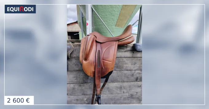Selle Dressage Arion Commande En Gros