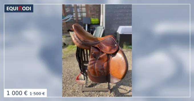 Selle Hoffsteiner Offre Du Jour