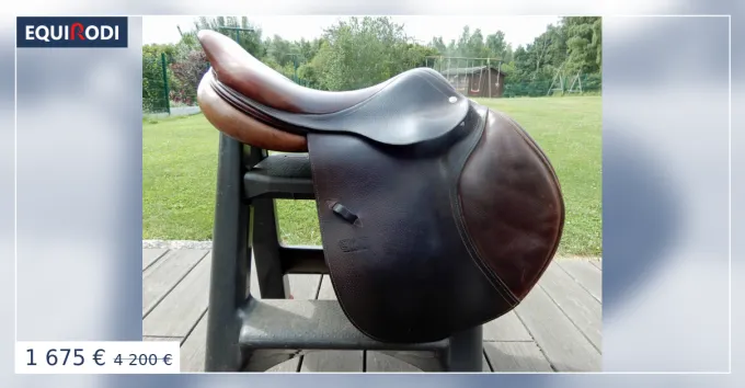 Prix Cass Selle obstacle CWD 17.5" quartiers 2C