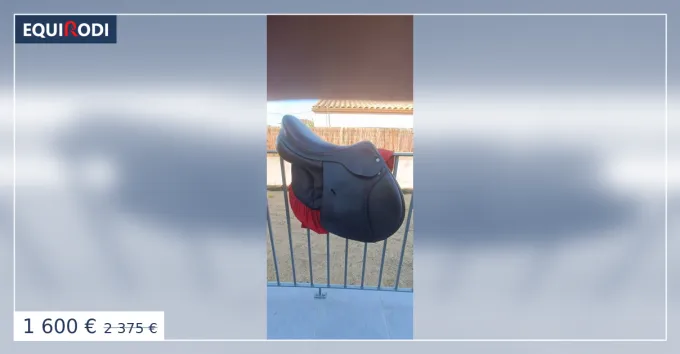 Selle quipe 17,5" Seulement Aujourdhui