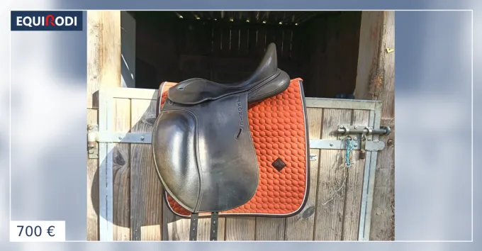 Selle ikonic dressage 16.5 pouces Expdition Rapide