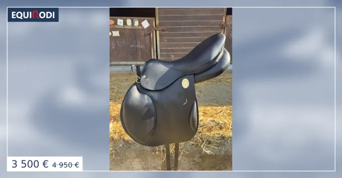 Prix Cass SELLE NEUVE JL MAUREL - 17,5 pouces
