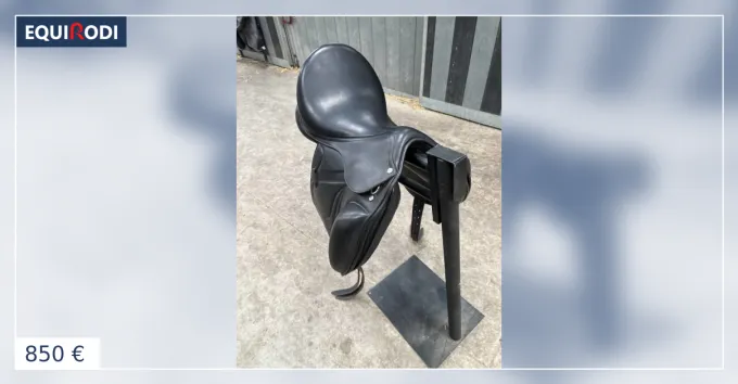 Selle dressage ric Thomas flitter aron interchangeabl Livraison Gratuite