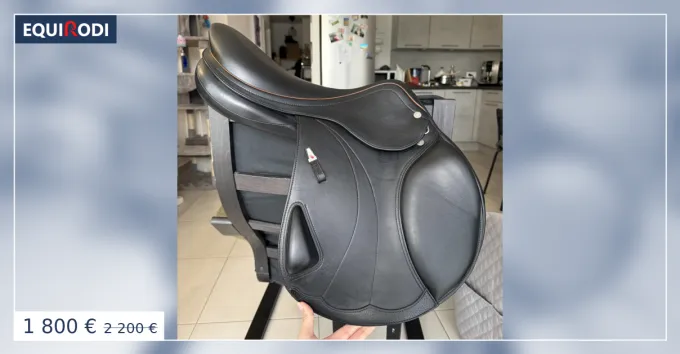 Selle mixte quipe Expression Mono 17,5 Affaire Saisir