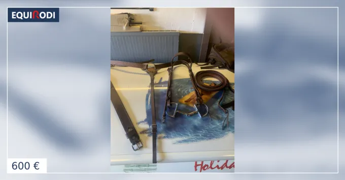 Selle western adulte 19 pouces Achetez Aujourdhui