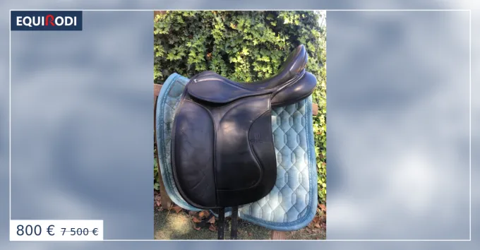 Selle de dressage Kingsley 17,5 Nouveaut