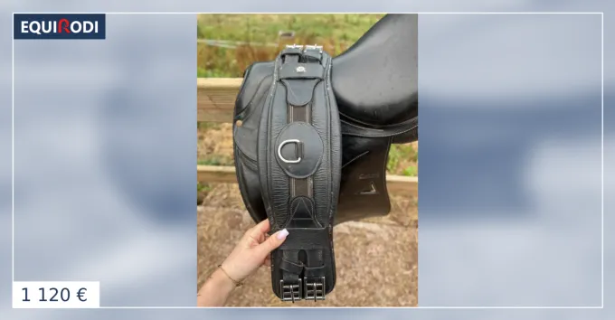 Livraison Gratuite Selle de dressage Darroze