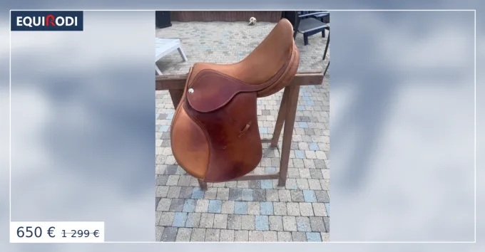 Acheter Direct Selle ZALDI STAR